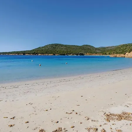 Pet Friendly Pianottoli-Caldarello (Corsica)