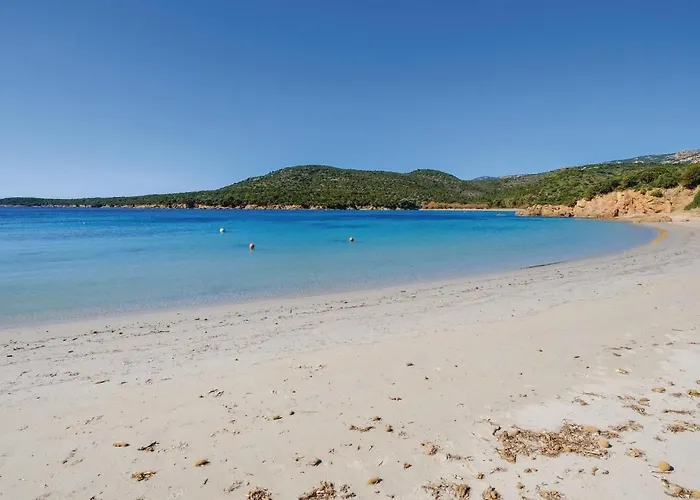 Pet Friendly Pianottoli-Caldarello (Corsica)