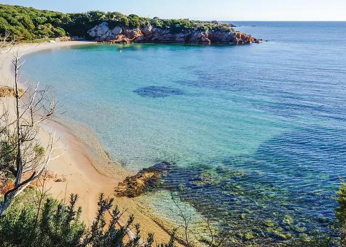 Daire Pet Friendly *